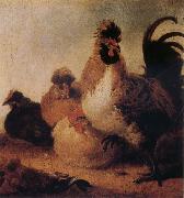 Aelbert Cuyp Rooster and Hens oil painting